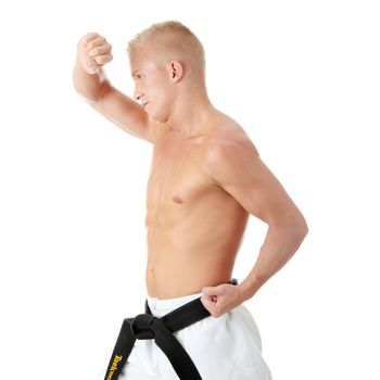 Taekwondo fighter isolated on white background
