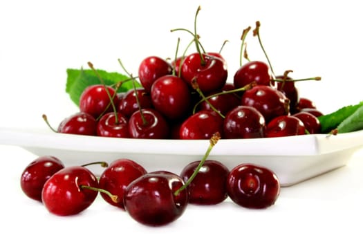 fresh red cherries on a white background