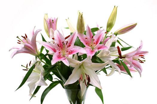 A bouquet of lilies