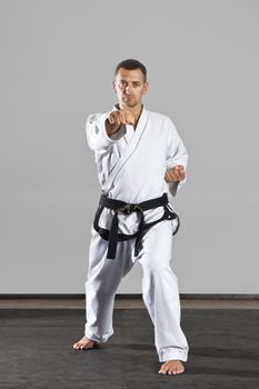 An image of a martial arts master