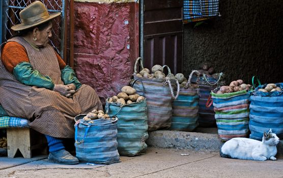 Cusco , Peru - May 27 : Peruvian woman in a market in Cusco Peru , May 27 2011