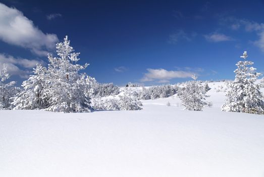 Mountain Winter Idyllic Scene