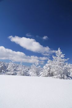 Mountain Winter Idyllic Scene