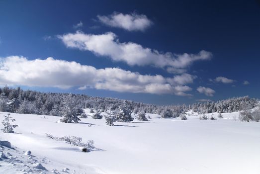 Mountain Winter Idyllic Scene