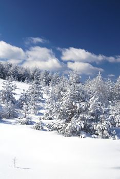 Mountain Winter Idilic Scene