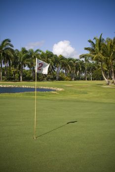 Flag number two in a golf course