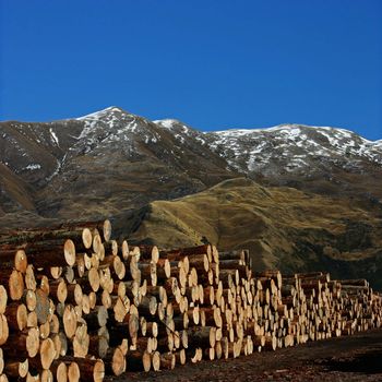 A Pile of Lumber with Mountain Landscape