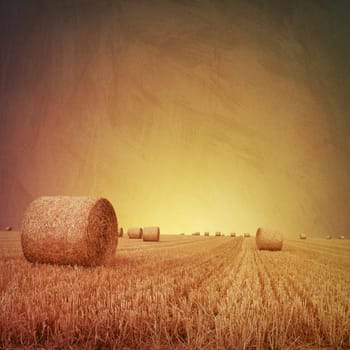An Artistic Vintage Photo Grunge Landscape with Straw Bales on Farmland