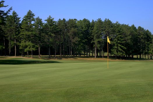 View of a golf green with the flag on the right side