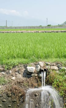 It is a outfall and paddy fields.