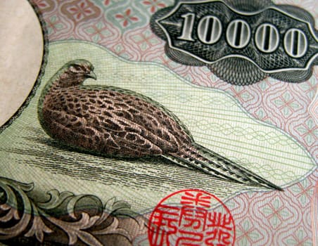 tails of a 10000 yen bill          
