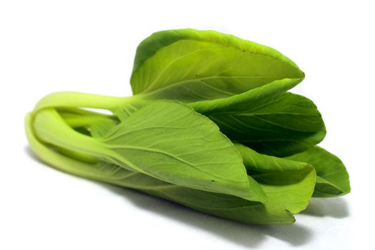 Fresh green vegetable on white background