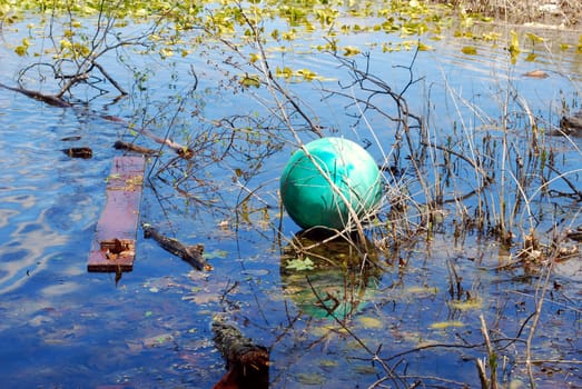 A ball and a plank of wood left in a pond.