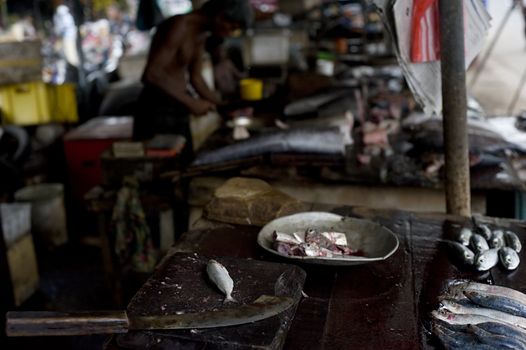 On the street fish market in Sri Lanka
