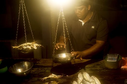 Ambalangoda, Sri Lanka - January 28, 2011:Seller at a fish market. Fishing in Sri Lanka is a tough job but this is the way they earn their living