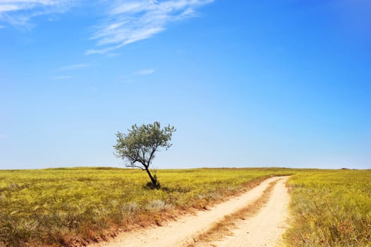 Empty country road in Crimea, Ukraine, 