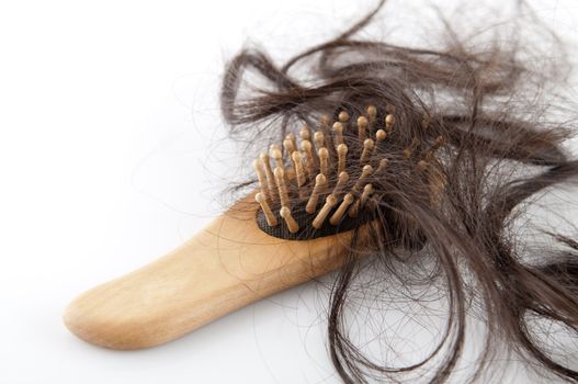 Close-up of a brush with lost hair on it, on white background
