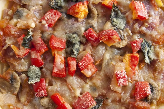 Close up of vegetarian pizza