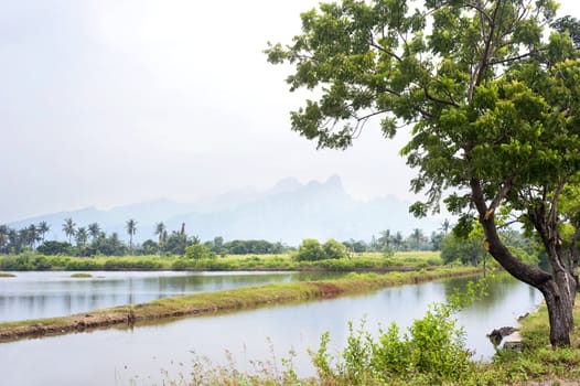 Tropical landscape on Jawa island, Indonesia