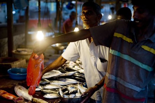 Hikkaduwa, Sri Lanka - January 28, 2011:Seller at a fish market. Fishing in Sri Lanka is a tough job but this is the way they earn their living