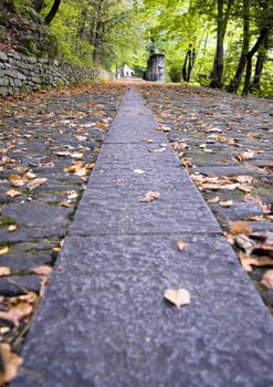 A path in the wood at the beginning of the fall season