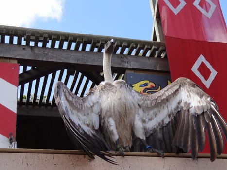 in a attraction park in France