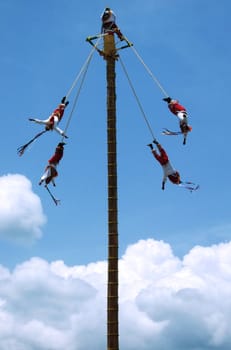 The Bird Men of Mexico, so called voladores. They climb to the top of a tall pole, around which they wind ropes, and then leap off into the air. As the ropes unwind, they descend slowly to the ground. 