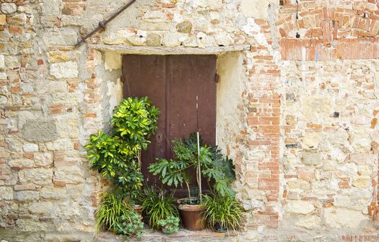 old tuscan doors with flowers