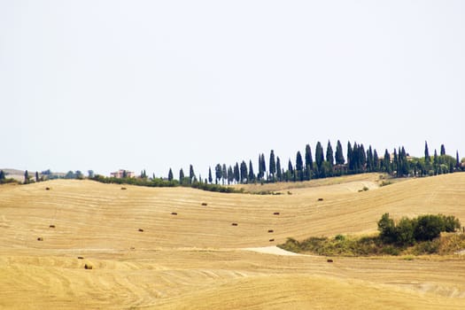 Scenic view of typical Tuscany landscape 