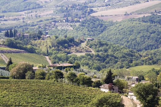 Beautiful vineyard panoramic in Tuscany