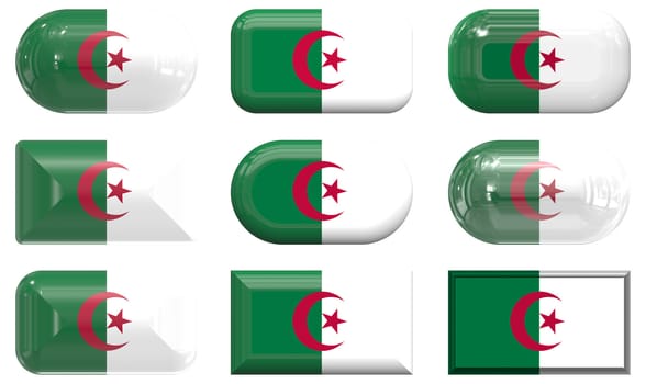 nine glass buttons of the Flag of algeria