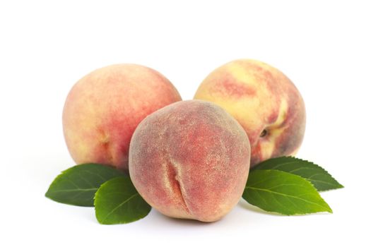 fresh peaches