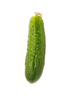 cucumber isolated on white background