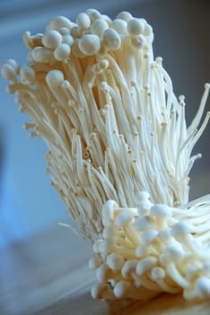 Enoki mushrooms