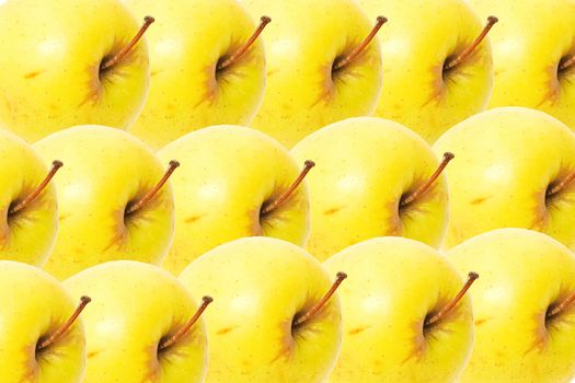 Yellow apples as a background