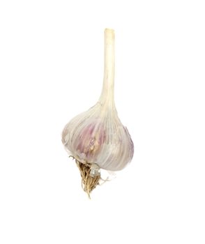 garlic isolated on white background 