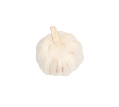 Garlic isolated on white background. 