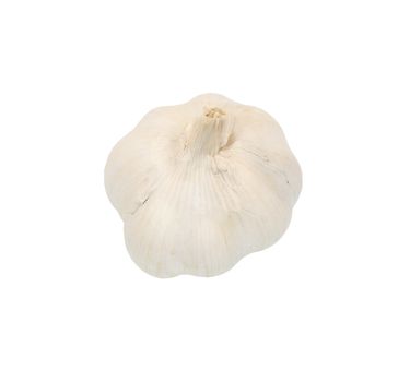 Garlic isolated on white background. 