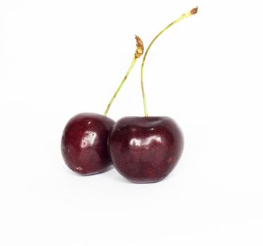 sweet cherry 