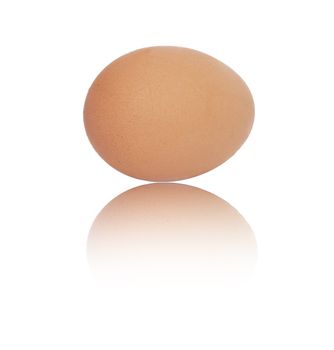 One egg on white background 