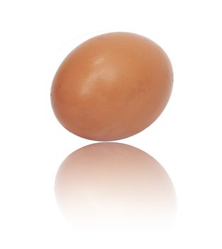 One egg on white background 