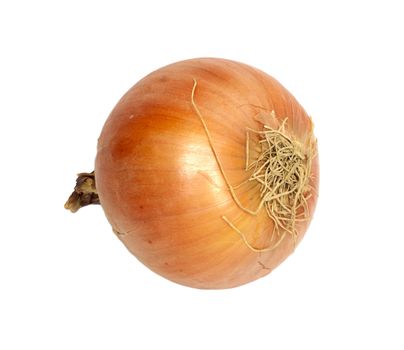 Ripe onion on a white background 