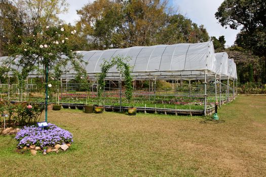 Gardens at Bhuping Palace in Chiang Mai, Thailand - travel and tourism.