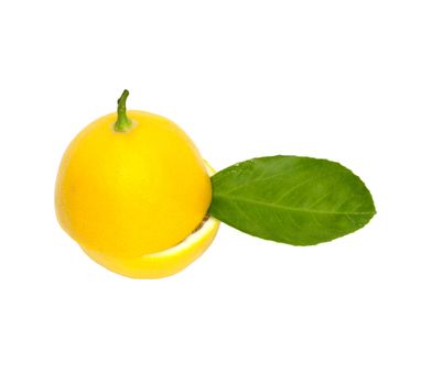 lemon 