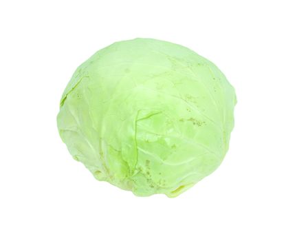 Green cabbage isolated on white background. 