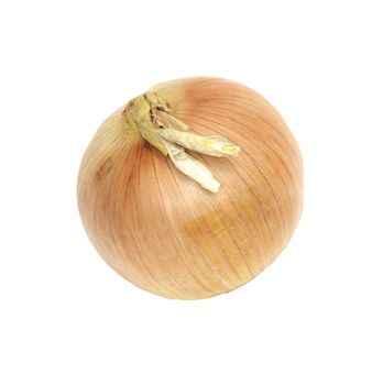 Ripe onion on a white background 