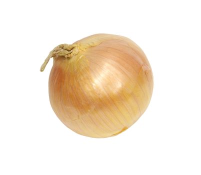 Ripe onion on a white background 