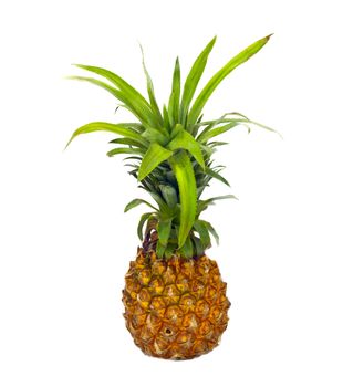 ripe pineapple isolated on white 