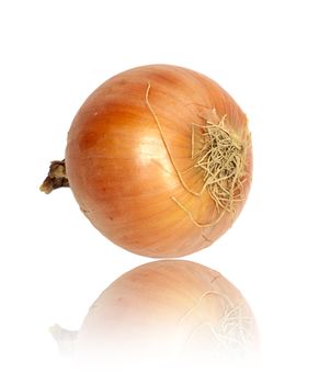 Ripe onion on a white background 