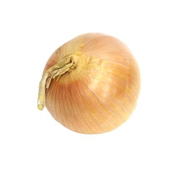 Ripe onion on a white background 